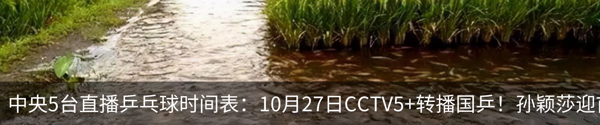 热点资讯