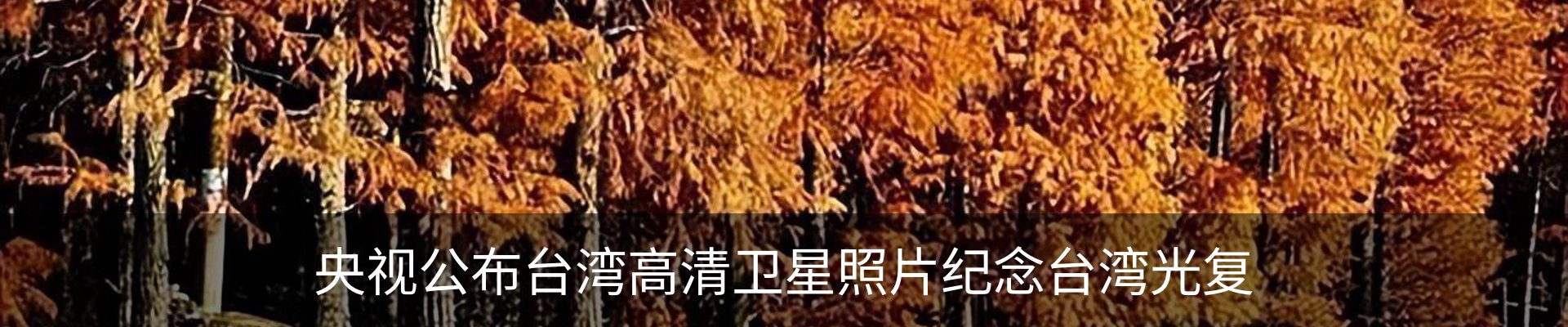 热点资讯