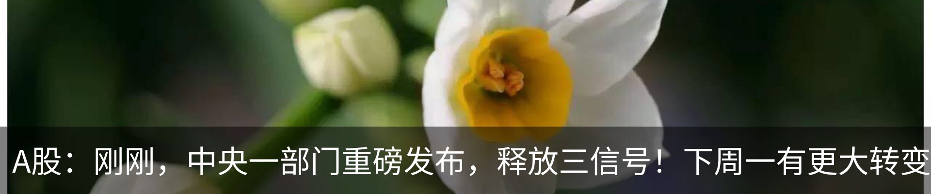 热点资讯